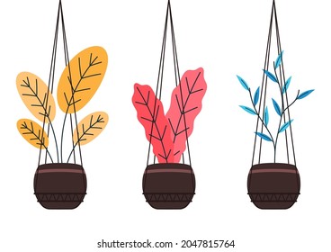 Plants in pot vector. Plants in pot icon vector on white background.