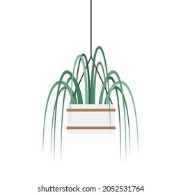 Plants in pot vector. Plants in pot icon vector on white background.
