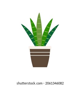 Plants in pot vector. Plants in pot icon vector on white background.