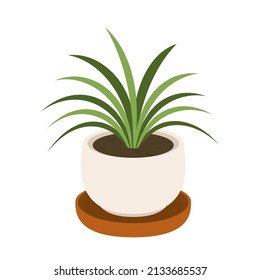 Plants in pot vector. Plants in pot icon vector on white background.