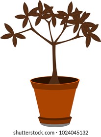The plants in the pot are withering.Used in printing and web.