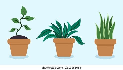 Plantas en macetas de estilo plano. Conjunto de elementos de diseño. Ilustración del vector