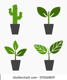 Plants in pots icons. Vector illustration