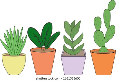 Plants in a pots on a white background, set. Isolated objects.