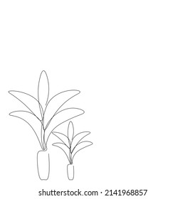 Plantas en macetas en ilustración vectorial de fondo blanco