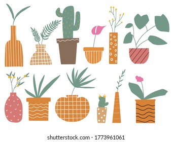 Plants in pots set on a white background, indoor plants