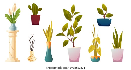 Plants in pots and vases for house or office interior isolated on white background. Vector cartoon set of green potted houseplants, trees and flowers. Home garden with ficus, cactus and calla