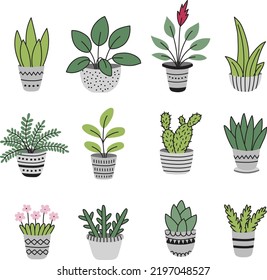 plantas de colección vectorial de macetas