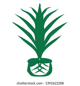 plants in pots. vector illustration
