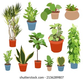 Plants in pots vector illustration set. Houseplants flat different indoor potted decorative houseplants for interior home or office decoration, green garden floral collection icons isolated on white