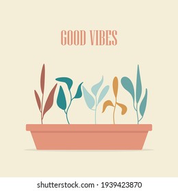 Plants in a pots. Vector planter background EPS10.