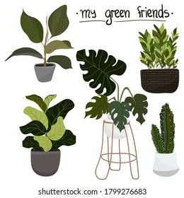 Plants in pots vector stock illustration. Tropical garden set. Collection of decorative houseplants isolated on white background. Beautiful natural home decorations.