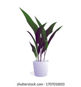 plants potted in container for use indoors as houseplant and decoration on white background. illustration plant on pot with gradient color.