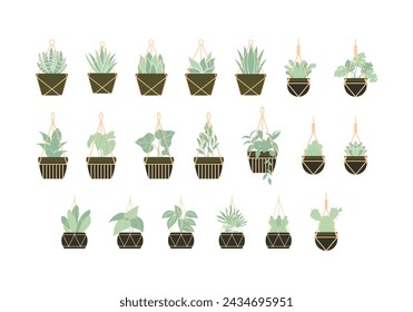 Plants Potted Illustration Element Set