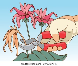 Plants pruning. The human hand in gardening glove trim the gardening plant. The human hand with gardening scissors. Vector illustration. 