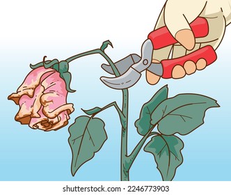 Plants pruning. The human hand in gardening glove trim the gardening plant. The human hand with gardening scissors. Vector illustration. 