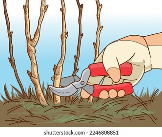 Plants pruning. The human hand in gardening glove trim the gardening plant. The human hand with gardening scissors. Vector illustration. 