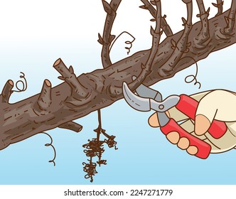 Plants pruning. The human hand in gardening glove trim the gardening plant. The human hand with gardening scissors. Vector illustration. 