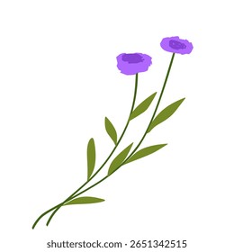 Plants with purple flowers,bouquet of spring flowers,purple flower set