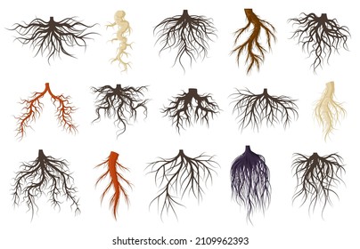 Plants roots systems, growing fibrous trees roots. Underground plants parts vector symbols set