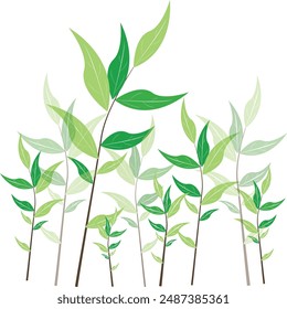 Plantas patrón sin fisuras. Ramas de sauce verde con hojas sobre un fondo blanco para la impresión en textiles y tejidos. Vector.