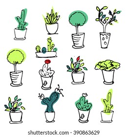 Plants seamless pattern. succulent, cactus. Hand drawn illustration