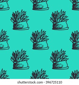 Plants seamless pattern. succulent, cactus. Hand drawn illustration