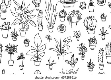 Plants seamless pattern. succulent, cactus. Hand drawn illustration