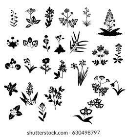 Big Collection Hand Drawn Spices Herbs Stock Illustration 615931307