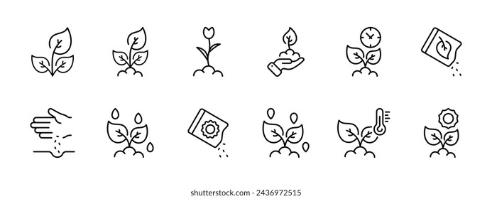 Plants set icon. Plant and its transmission, sprout, flower, waiting for growth, seeds, sowing, watering, lighting, temperature. Agricultural business concept. Vector line icon on white background.