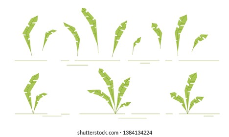 Plants set isolated. Flat style. Leaves, flowers, bushes. Modern trendy minimalistic and simple design. Bright green summer, spring colors. Cartoon style. Floral background. Vector illustration.