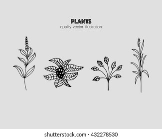 Plants set. vector illustration