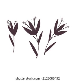 Plants silhouette collection on white background, hand drawn flowers