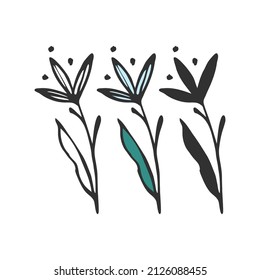 Plants silhouette collection on white background, hand drawn flowers