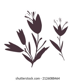 Plants silhouette collection on white background, hand drawn flowers