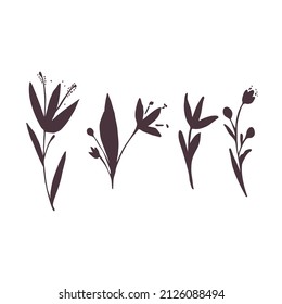 Plants silhouette collection on white background, hand drawn flowers