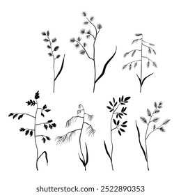 Silueta de plantas, Ilustración vectorial. Colección de ramos de hierbas del prado. ilustración. Conjunto de hierbas botánicas en blanco y negro.