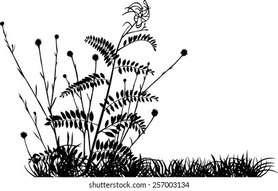 Plants silhouettes