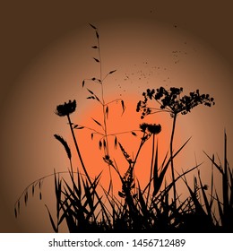 Plants silhouettes on sunset background. Collection for designers.  Beauty of nature. Illustration vector.