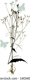Plants silhouettes on white background. Decorative illustration