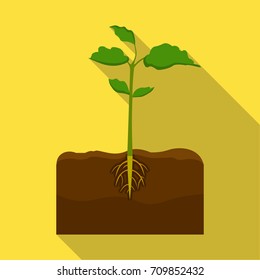 Plants single icon in flat style.Plants, vector symbol stock illustration web.