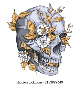 Plants Skull Illustration. High quality vector