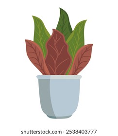 Plantas suculentas aisladas icono de diseño