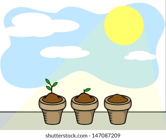 Plants and Sun Light
