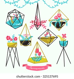 Plants and Terrariums Vector Design Illustration