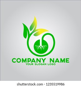 plants that grow with very supportive roots and leaves