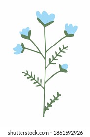 plants that have beautiful blue flowers