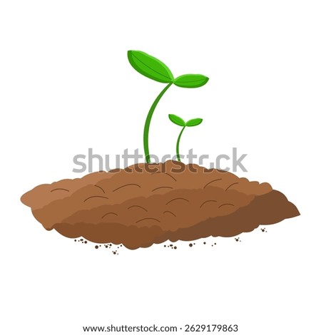 Plants that start to grow on fertile soil