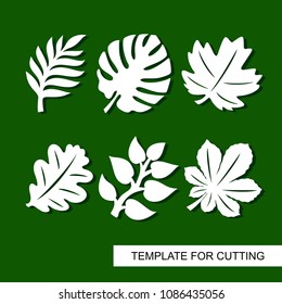 Plants theme. Silhouettes of tropical palm leaves, monstera, jungle leaves, leaves maple, oak, chestnut. Template for laser cut, wood carving, paper cutting and printing. Vector illustration.