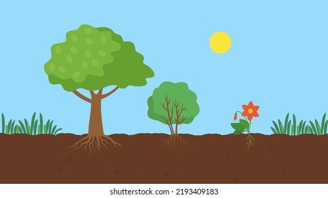 Pflanzen und Baum mit Wurzeln